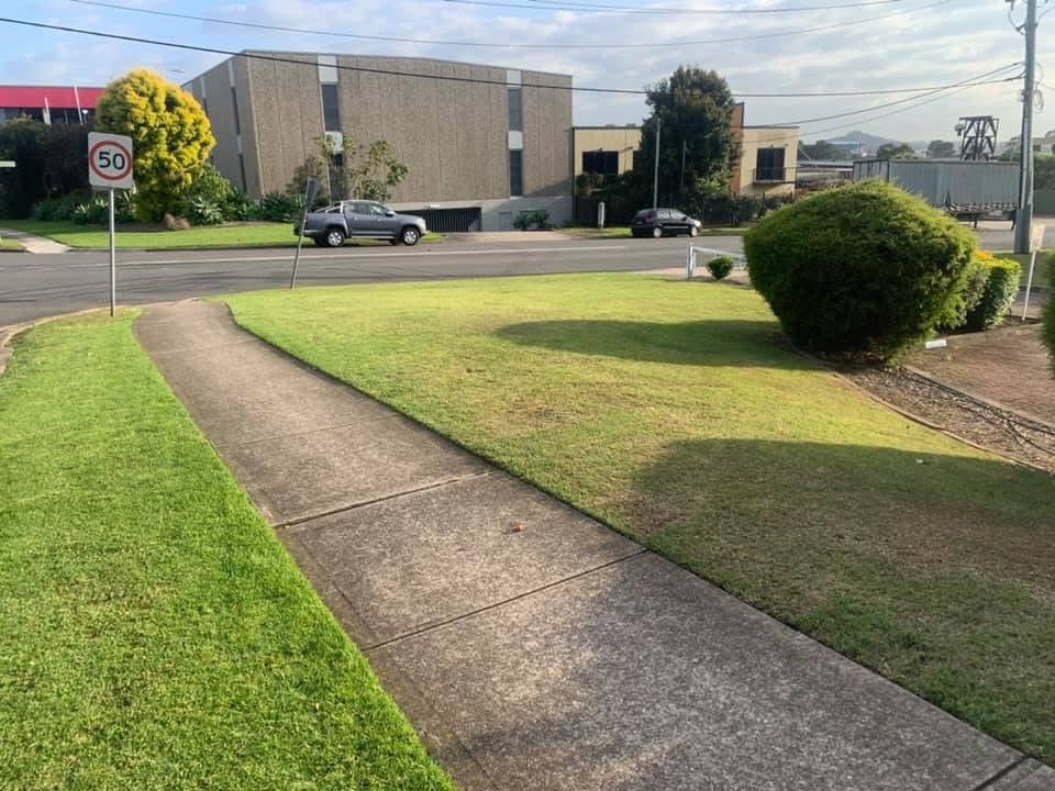 Freshly cut commercial lawn bordering a footpath and shaped shrubs