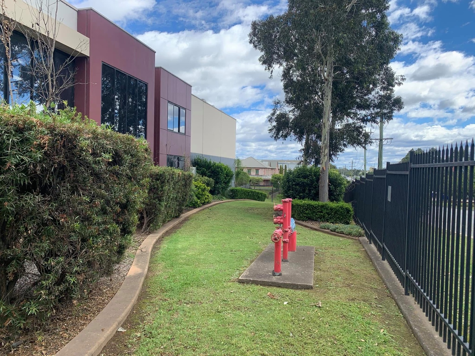 Maintained lawn, garden borders and hedges along a commercial building