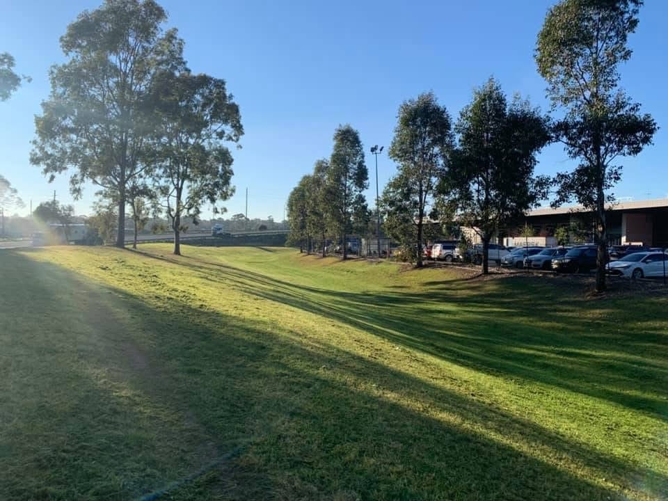 Mown open grounds and established trees beside business premises